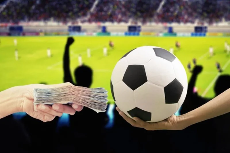 Mistakes Newbies Make in Sports Betting JILIHOT